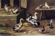 unknow artist poultry  174 oil on canvas